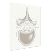 Spine Clinic stretched canvas print