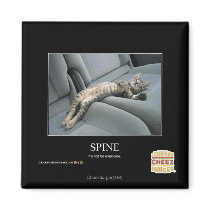 Spine Fridge Magnets