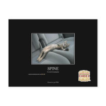 Spine Post Card