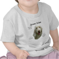 Spinone Italiano History Design