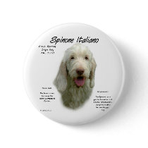 Spinone Italiano History Design