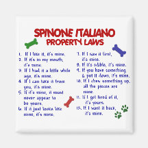 SPINONE ITALIANO Property Laws 2 Refrigerator Magnets