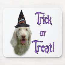 Spinone Trick Mousepad