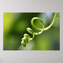 Spiral plant poster