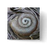 Spiral Shell Button