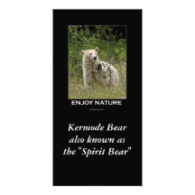 "Spirit Bear" gifts Picture Card