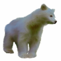SPIRIT BEAR KERMODEI (sculpted) Wildlife Magnet Photo Sculptures