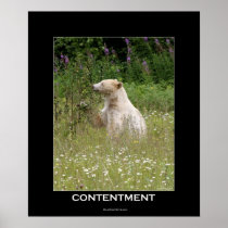 Spirit Bear Motivational Poster