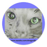 Spirit Cat