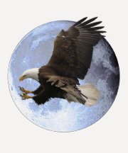 SPIRIT of FREEDOM Bald Eagle Wildlife Shirt