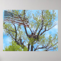 Spirit of Freedom - Poster