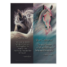 Spirit of Horse Bookmarks Post Cards