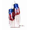 Spirit of Puerto Rico Boxing Ladies t-shirts