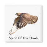 Spirit Of The Hawk Magnet