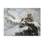 Spirit of the mountains, Snow Leopard postcards