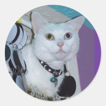 Spirit Sticker
