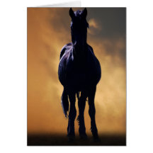Spirited horse greeting cards