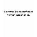Spiritual Being having a human experience. t-shirts