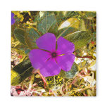 Splash Of Sunshine! magnets