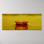 Splash Poster