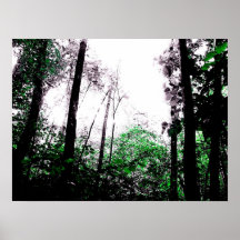 Splashes of Green Print