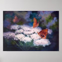 Splendor In the Meadow Butterfly Poster posters