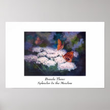 Splendour In the Meadow Butterfly Poster