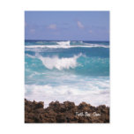 Splish Splash Postcard