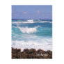 Splish Splash Postcard