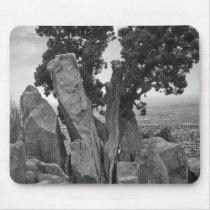 Split Tree Mouse Pad