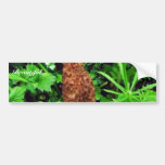 Sponge Mushroom with green plants Bumper Stickers
