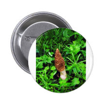 Sponge Mushroom with green plants Pinback Button