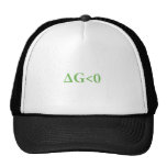 Spontaneous Mesh Hat