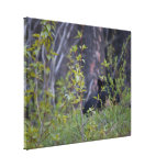 Spooky Bear Gallery Wrap Canvas