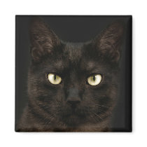Spooky black cat refrigerator magnet