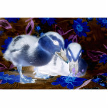 Spooky blue and white baby ducks acrylic cut outs