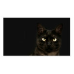 spooky cat profile card business cards