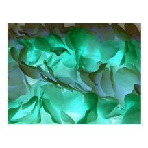 Spooky grey and green petals post cards