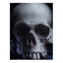 Spooky Human Skull Grim Black White Photography Postcard