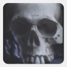Spooky Human Skull Grim Black White Photography Stickers