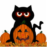 Spooky Kitty photo sculptures