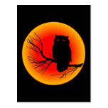 Spooky Owl Post Card