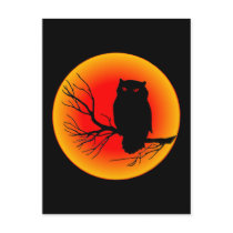 Spooky Owl