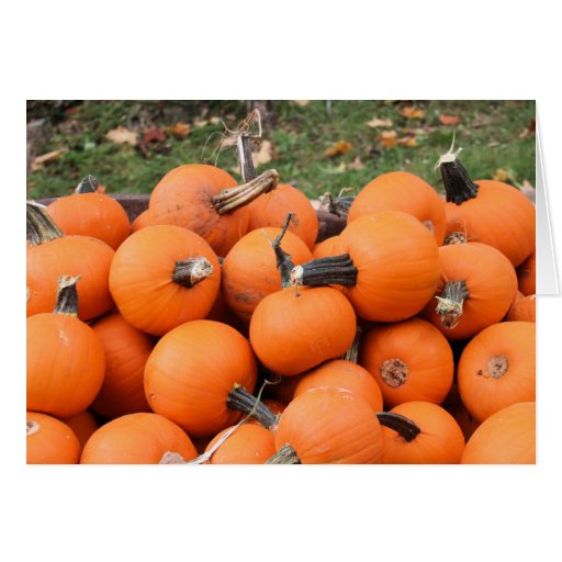 Spooky Pumpkins Greeting Cards