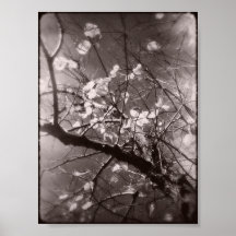 Spooky Tree 2 Print