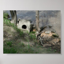 Spoon River Dam Ruins Poster
