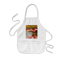 spoonbill apron