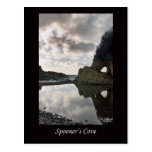 Spooner's Cove California Postcard