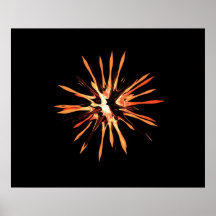 Spore foncée poster