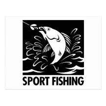 Sport Fishing Post Card